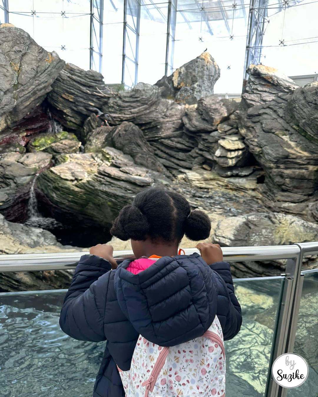 visit to the Lisbon Oceanarium