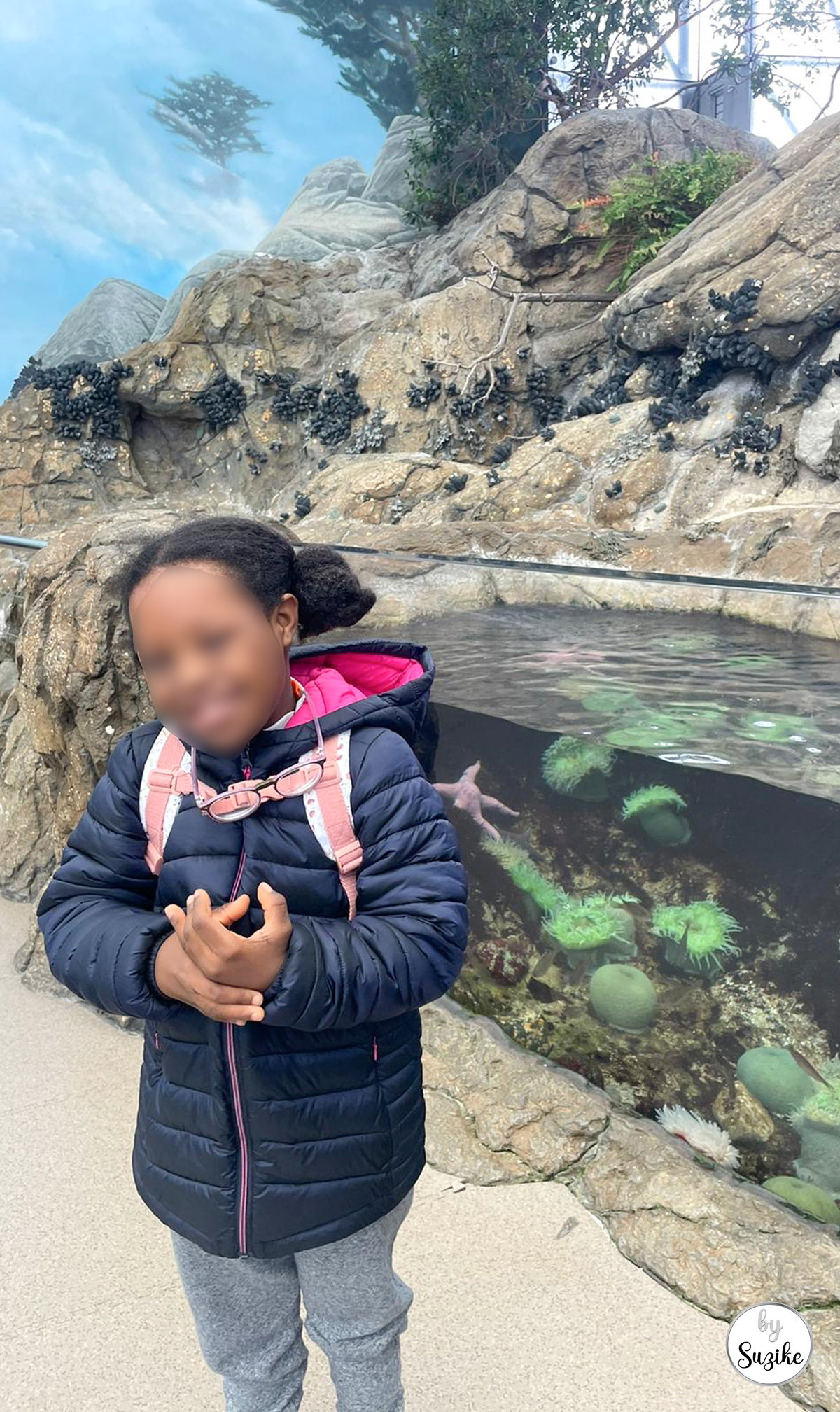 Outdoor penguin exhibit at the Lisbon Oceanarium loved by children