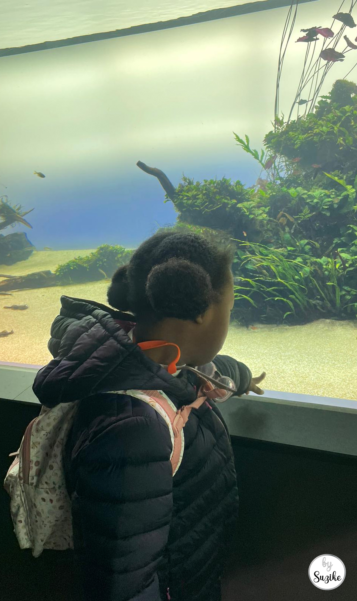 Child watching fish at the Lisbon Oceanarium with kids during a family visit