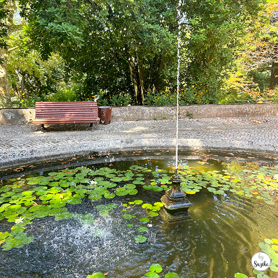 Small pond and fountain with water lilies at Monteiro-Mor Park and Theatre Museum.